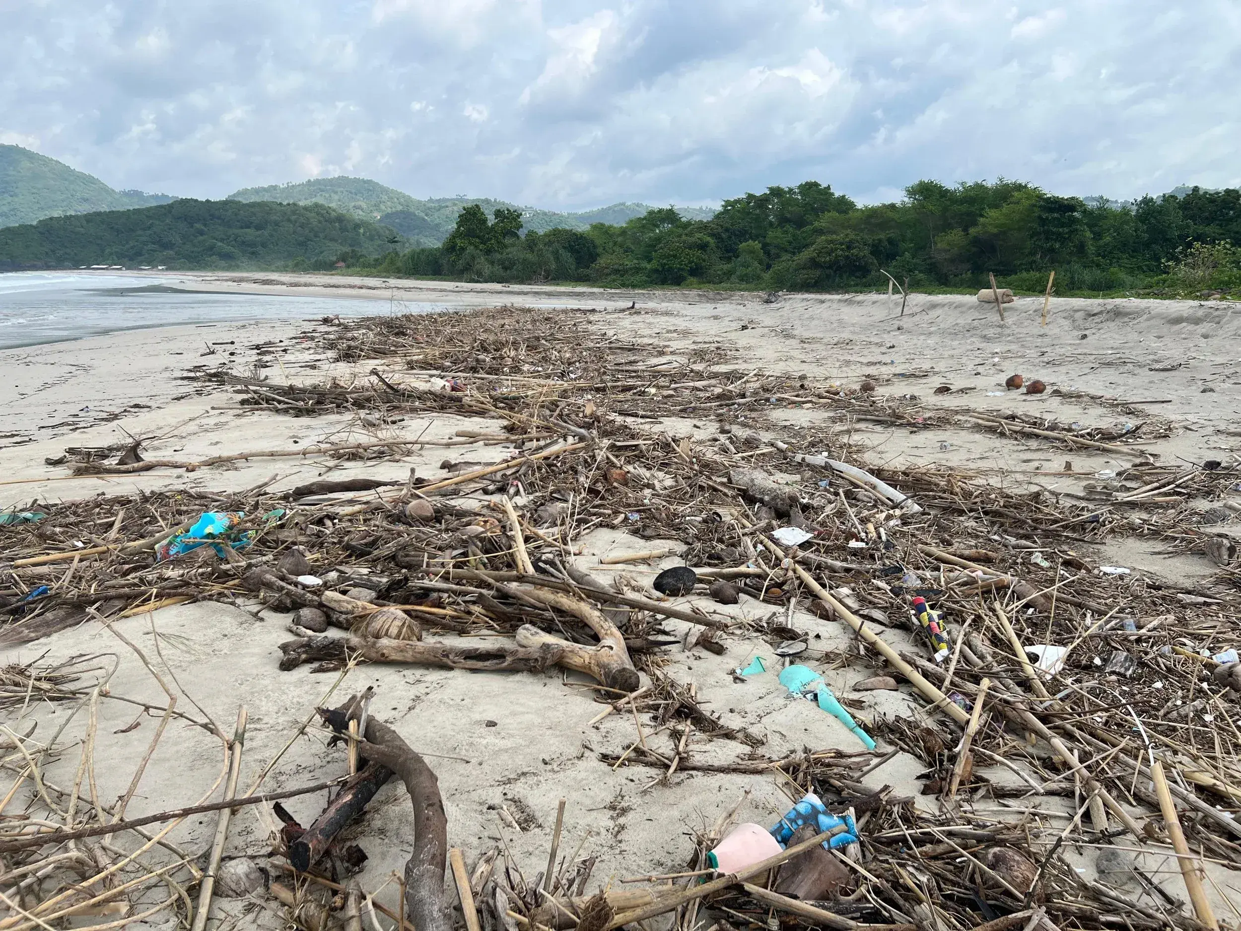 Driftwood and plastic waste washed onto a beach near Selong Belanak